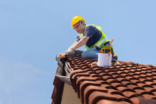 Best Asphalt Shingle Roofing  in White Rock, NM